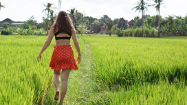 Emily-Gough-rice-paddies-bali-walking-away-new-life-infidelity-relationships-gratitude Emily-Gough-rice-paddies-bali-walking-away-new-life-infidelity-relationships-gratitude